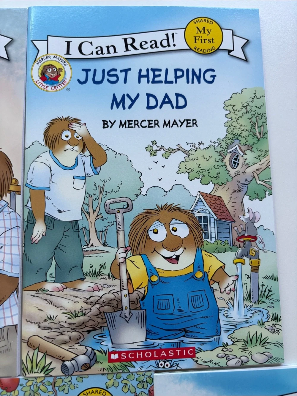 Scholastic I Can Read! Just Saving My Money (green, blue, white, brown)